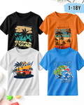 Pack of 4 Kids Printed T-Shirts – Prints for Boys  (Code 5295)